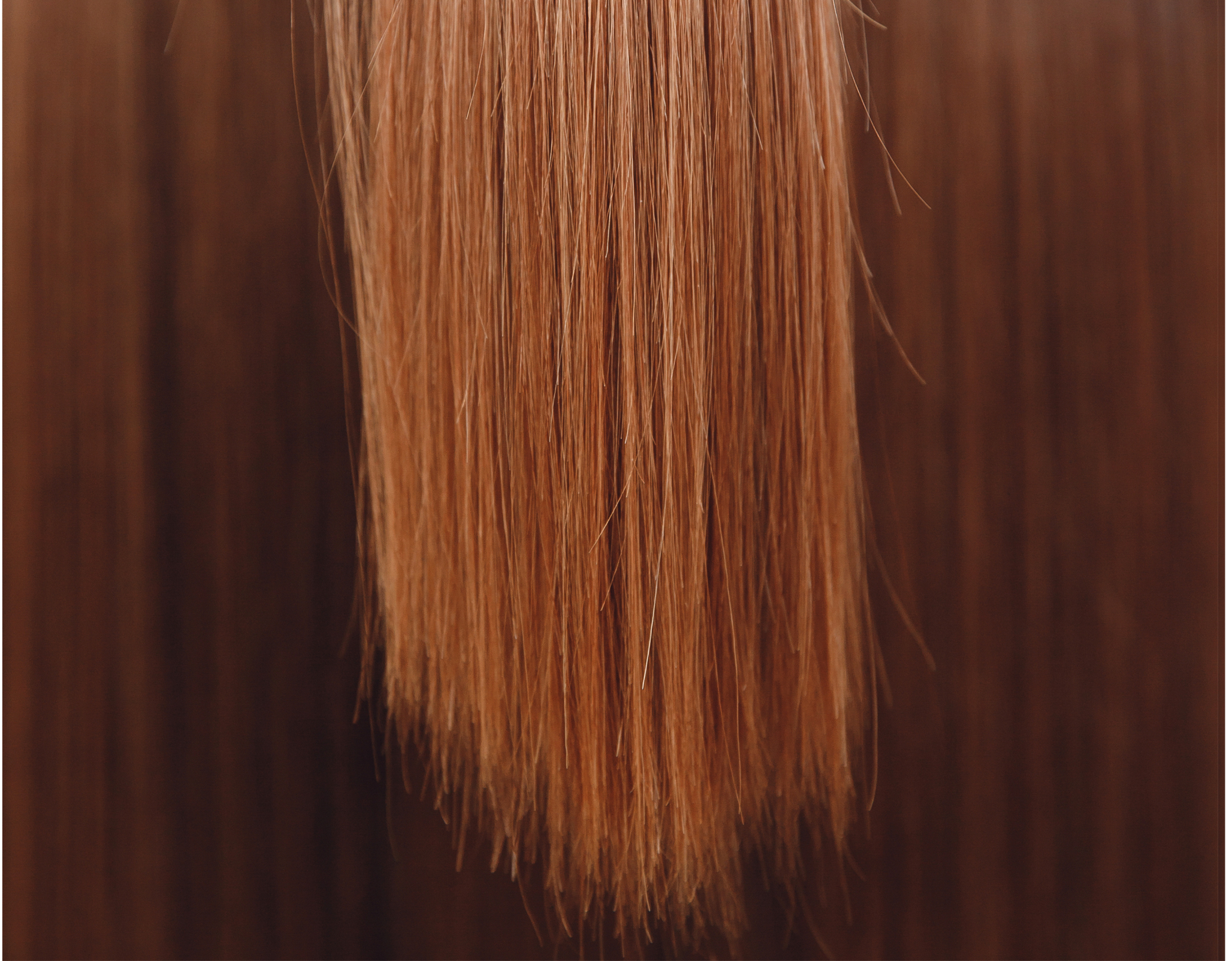 Smoothsilkyhair-mane-n-tail