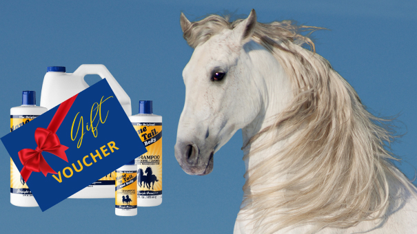 Gifts-and-bundles-for-horse-grooming-products-white-horse-looking-at-the-gift-voucher