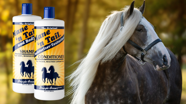 The Original Shampoo – manentailequine-europe