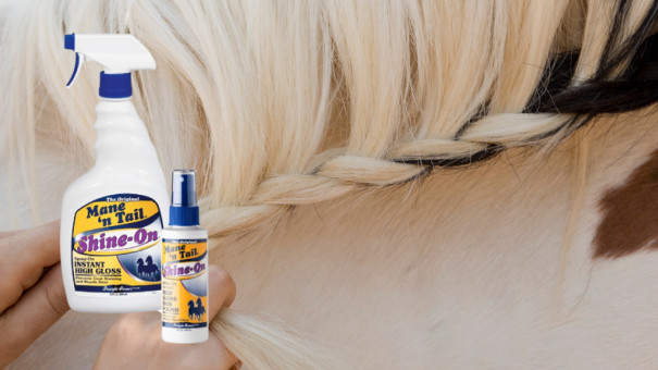 Shine-on-products-for-shiny-coats-for-horses